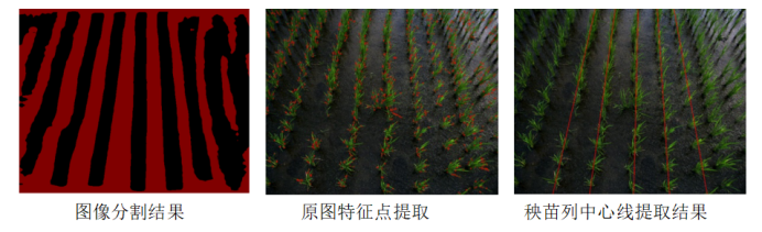 &#108;&#101;&#121;&#117;&#20048;&#40060;